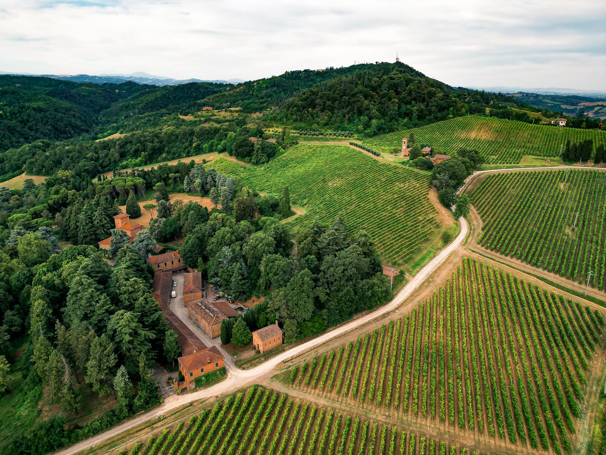 Azienda agricola tizzano -Stop al disordine digitale